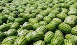 热点吃瓜 52爆料吃瓜网 网络大瓜,网络大瓜盘点，揭秘娱乐圈幕后真相