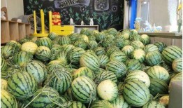 黑料不打样 52爆料吃瓜网 今日吃瓜官网,黑料不打样52爆料，今日吃瓜官网独家爆料来袭！