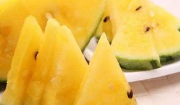 黑料不打样 52爆料吃瓜网 今日吃瓜官网,黑料不打样52爆料，今日吃瓜官网独家爆料来袭！